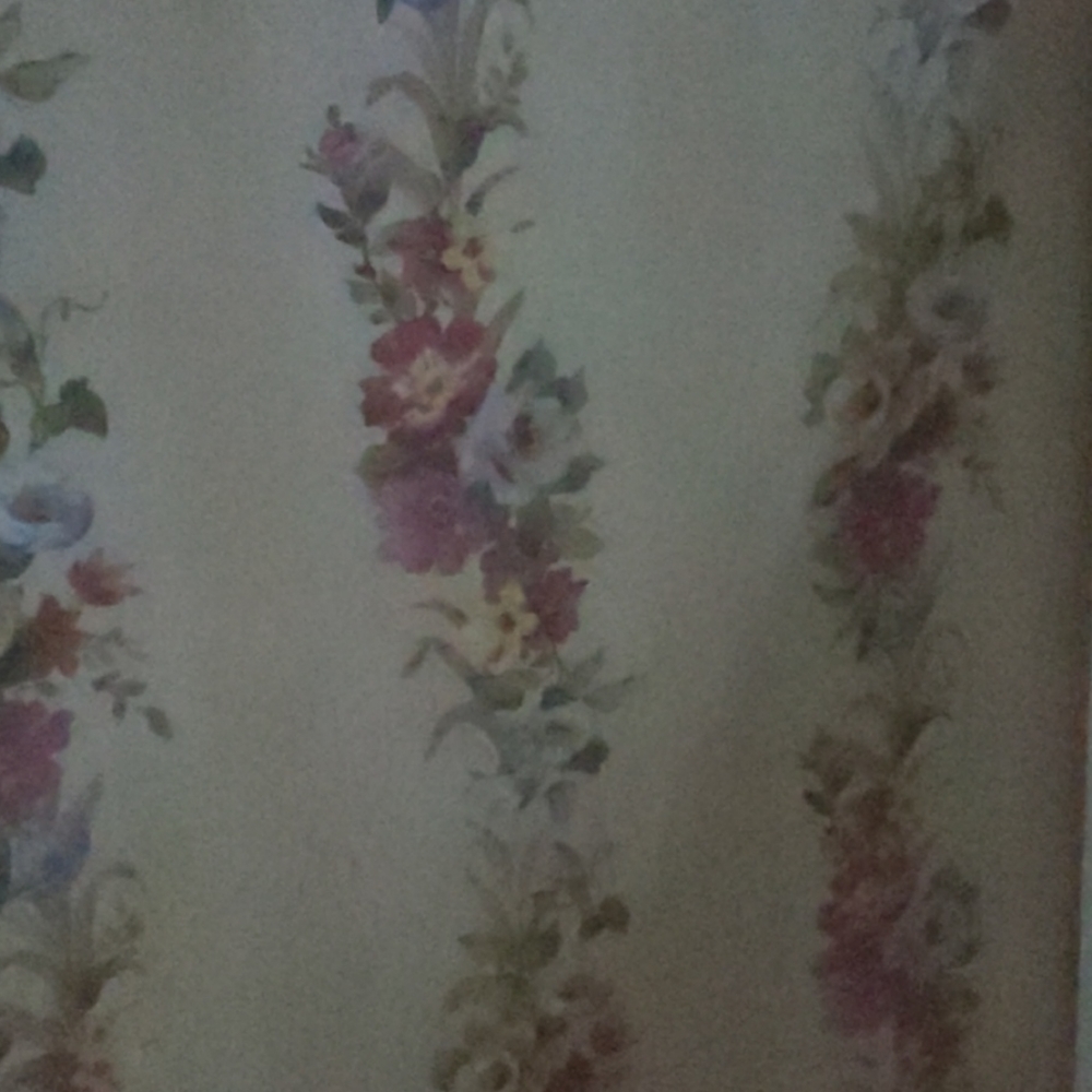 Meet your Posher, Jenny